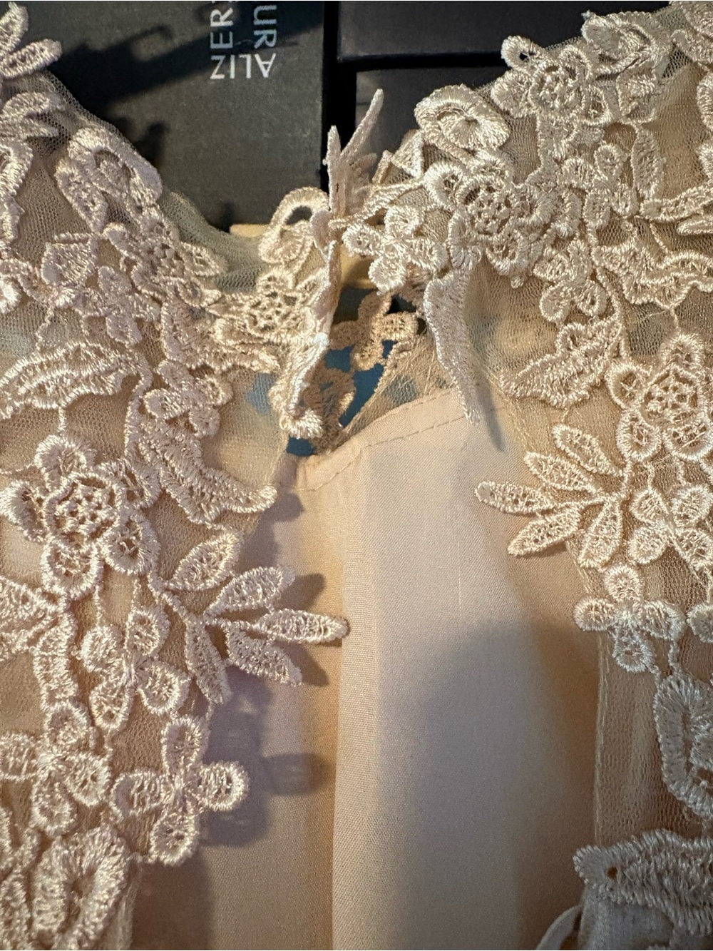 Elegant Lace A-Line Wedding Dress in beige - Picture 6 of 10